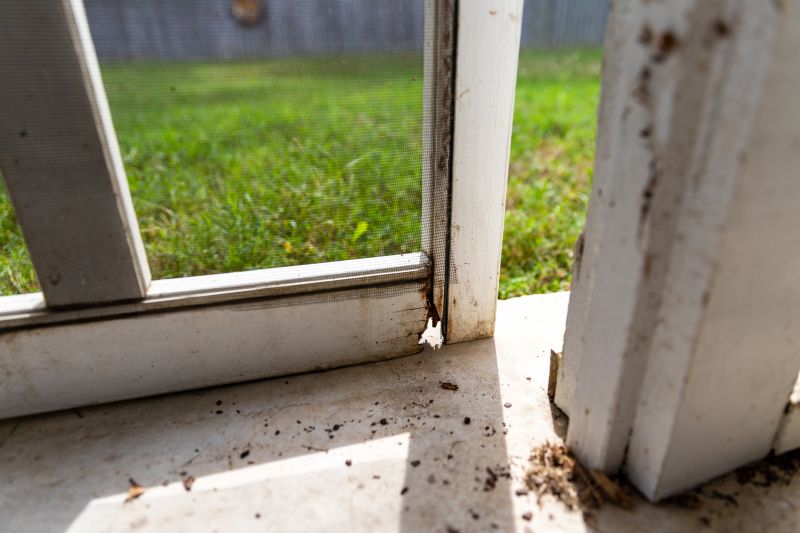 Wood Rot Repair
