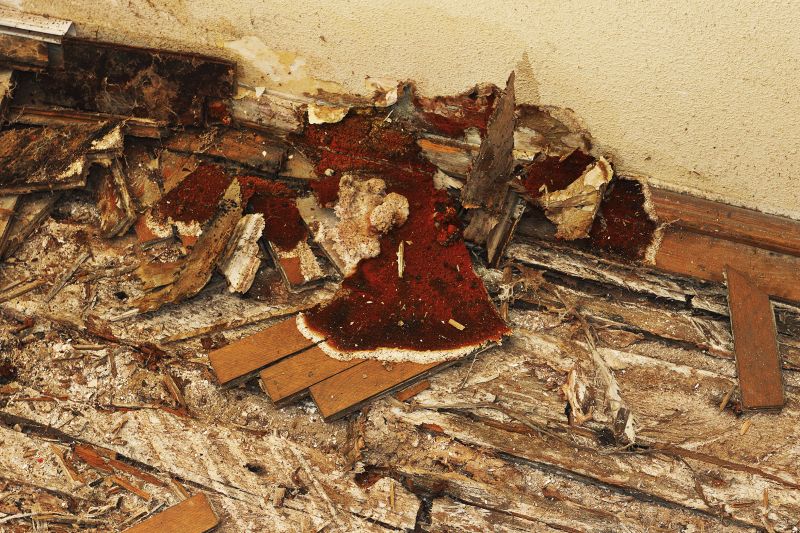 Pest Damage Repair in Alpharetta, GA