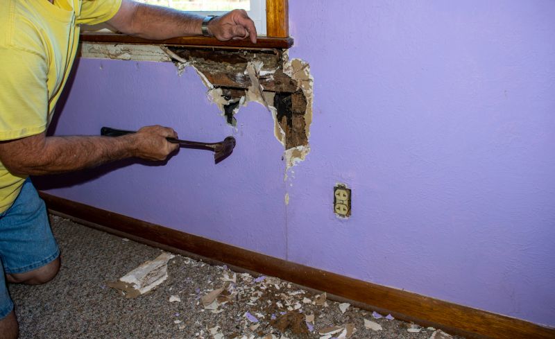 Pest Damage Repair in Roswell, GA