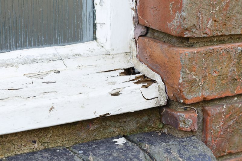 Rot Repair Service in Denver, CO