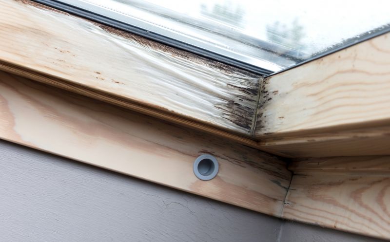 Rot Repair Service in Arvada, CO