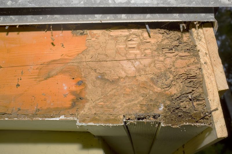 Rot Repair Service in Conroe, TX