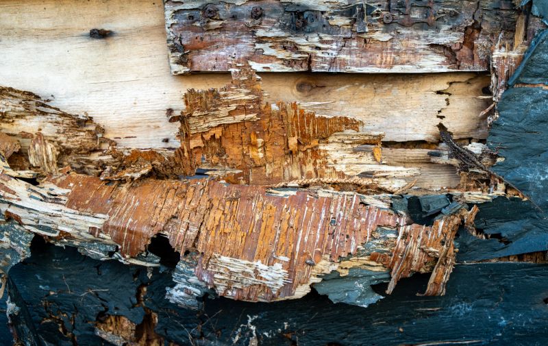 Rotten Wood Repair in Overland Park, KS