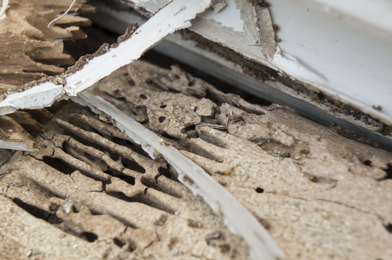 Rotten Wood Repair in Olathe, KS