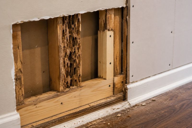 Termite Damage Repair Service in Alpharetta, GA