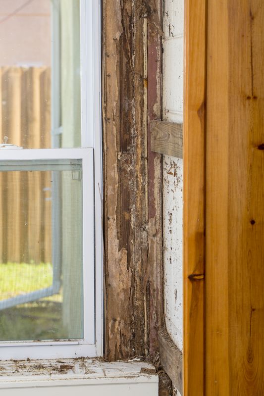 Termite Damage Repair Service in Olathe, KS