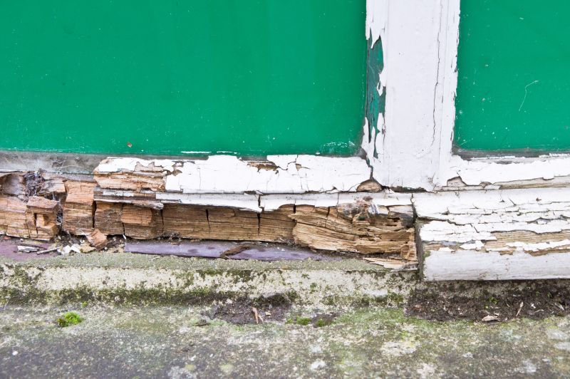 Window Rot Repair in Conroe, TX