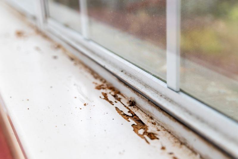 Window Rot Repair in Overland Park, KS