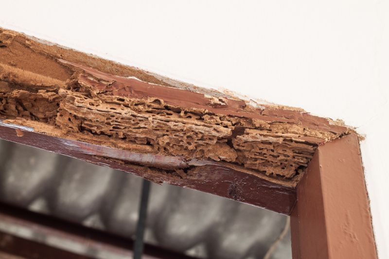 Wood Decay Removal in Wilmington, NC