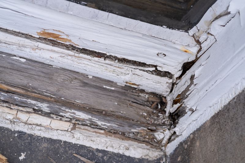 Wood Decay Repair in Denver County, CO