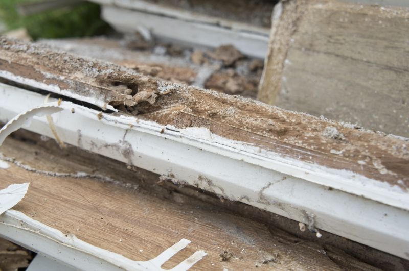 Wood Rot Removal in Denver County, CO