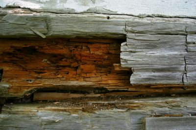 Type of Wood and Material