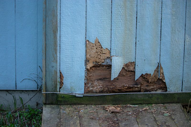 Exterior Siding Damage