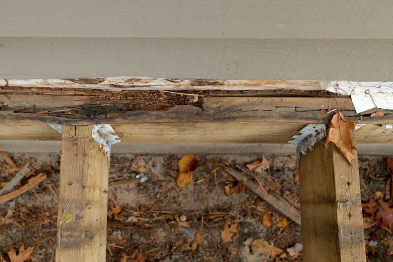 Wood Rot Repair in Olathe, KS