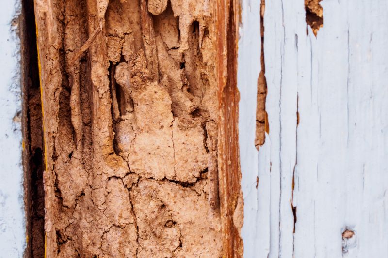 Wood Rot Repair in Olathe, KS