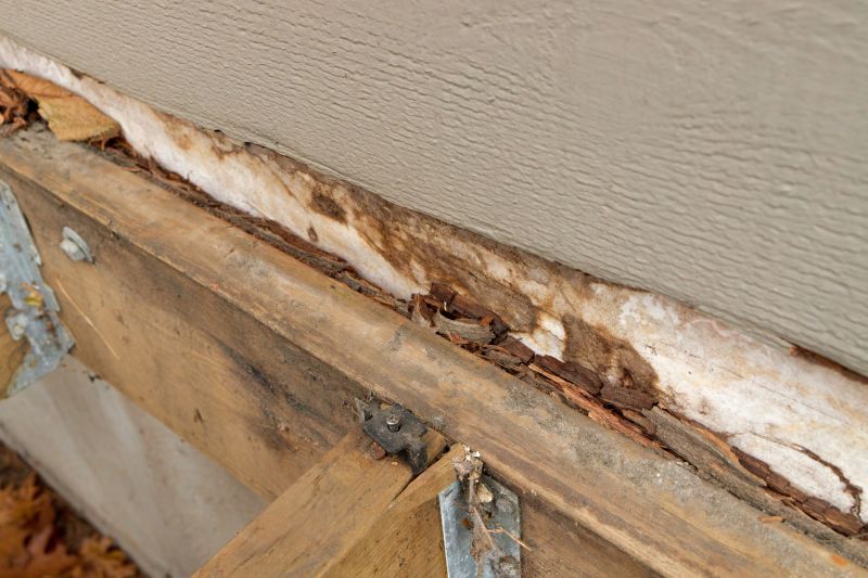 Wood Rot Repair in Denver County, CO