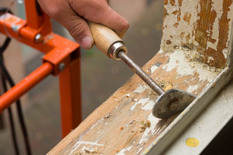 Rot Repair Service in Longmont, CO