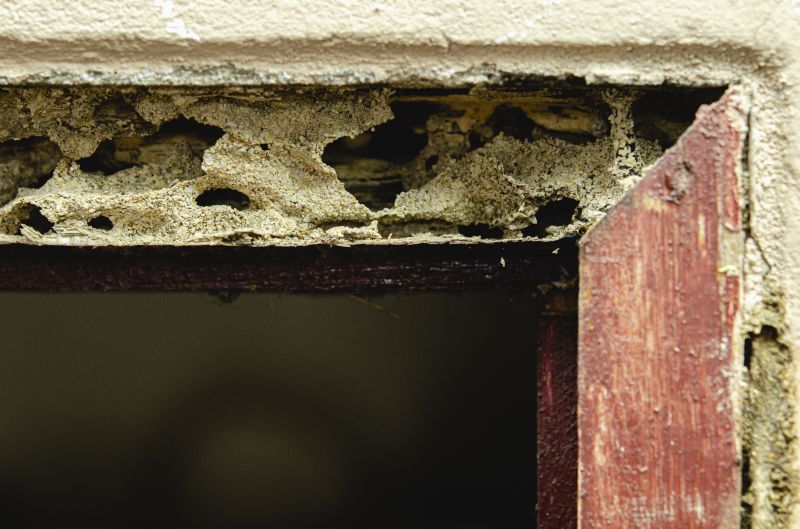 Wood Decay Repair in Indianapolis, IN