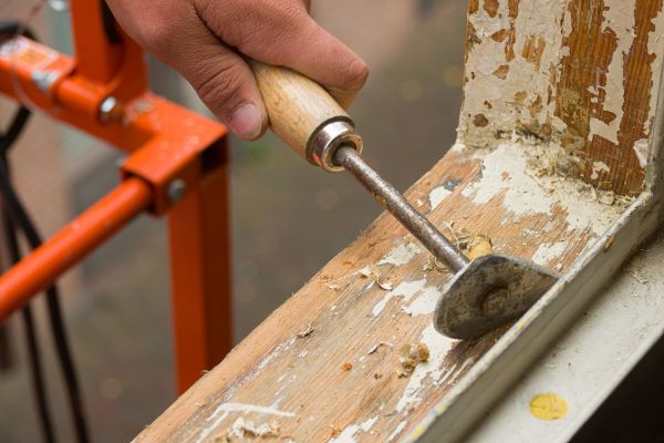Wood Rot Repair Service